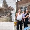 Arnhems stel mogelijk besmet met ‘rattenvirus’, gezin wil niet meer terug naar huis