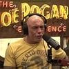 Joe Rogan goes ballistic on Trump's handling of Epstein files and points out glaring contradiction
