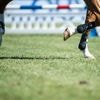 Pferdesport: Pferdequälerei? Weltverband ermittelt gegen Australier Ryan