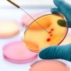 Na 15 jaar kritiek trekt Science artikel in over unieke arseenbacterie