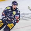 Deutsche Eishockey Liga: Eishockey-Stürmer Fontaine verlässt Eisbären