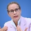 Richterwahl im Bundestag: Mehrheit der Deutschen ist gegen Verzicht von Brosius-Gersdorf