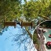 REVEALED: The simple trick to save HUNDREDS on 'outrageous' Center Parcs prices