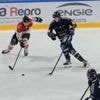 Hockey sur glace. Formation à développer, identité à ancrer : les Ducs d’Angers à un tournant