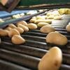 Aardappel- en frietproducent CêlaVíta vraagt faillissement aan