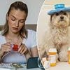 My guilty secret? I've been taking the Valium pills my DOG was prescribed by the vet. But I never imagined how my girlfriends would react when I confessed all during a prosecco binge in the pub...
