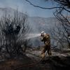 Plus de 4 000 hectares ravagés par les flammes sur l'île grecque de Chios