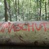 Langzeitbefragung: Studie relativiert Eltern-Mythos zu Sorgen um Klima