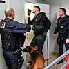 Drug dealing 'cancer' has reached every corner of France with no 'safe places' left and even 'the slightest rural village has cocaine and cannabis, justice minister admits