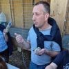 REPORTAGE. « Ce sont des athlètes » : Mickaël aime transmettre sa passion des pigeons voyageurs