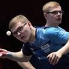 Tennis de table. Championnats du monde : Alexis et Félix Lebrun dans la même partie de tableau