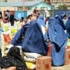 L'ONU dit cesser l'aide aux Afghans expulsés de pays voisins, après que les talibans ont interdit aux femmes de venir travailler