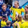 Transfers in Teamsportarten: Umbrüche unerlässlich? - Proficlubs und ihr Kaderpuzzle