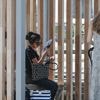 Canicule en France : températures "supérieures à 40°C", "nuits difficiles"... A quoi faut-il s'attendre lors de cette vague de chaleur ?
