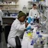 US aid cuts halt HIV vaccine research in South Africa, with global impact