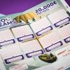 Wat is het optimale bedrag bij loterijwinst? ‘Veel mensen geloven dat je ook té rijk kan zijn’