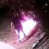 Suspected arsonist, 33, is charged with terrorism after being caught lighting fires in Bulgaria - as country battles 160 fires while infernos rage across Europe amid apocalyptic 50.5C heatwave