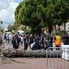 Man zwaargewond door vallende palmboom in Cannes