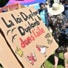 Loi Duplomb : "Je ne vois aucune raison solide pour qu'on réintroduise une molécule dangereuse", alerte un cancérologue à propos de l'acétamipride