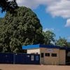 Brazil slaughterhouses reduce ties to Amazon deforestation, but cattle laundering remains issue