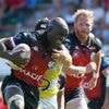 Rugby - Nationale. Devant Albi, le Niort RC a lâché les chevaux