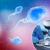 ALL young men need regular sperm checks to identify thousands of cases of infertility, says leading reproductive expert