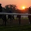 Belmont Stakes at Saratoga is a Kentucky Derby rematch
