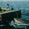 Als Spielberg fast baden ging: Daa-dam, Daa-dam: 50 Jahre „Der weiße Hai“