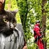 Katje Otto na drie dagen gered in Brugs bos: “We hadden overal gezocht, tot we hem plots hoorden miauwen in die boom”