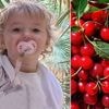 Meisje (2) sterft voor ogen van ouders tijdens eten van kers