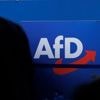 Parteien: Verfassungsschutz stuft AfD als rechtsextremistisch ein
