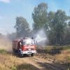Waldbrandsaison: Frühling zu trocken - Bislang 125 Waldbrände