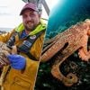 ‘Monsters’ verwoesten het inkomen van Engelse vissers