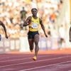 Athlétisme. La championne olympique Julien Alfred remporte son 100 m de rentrée à Oslo