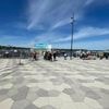 Was für ein Berlin-Panorama!: Der wunderbare Wannsee-Hafen in Bildern