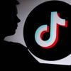 Meerdere minderjarigen roepen via TikTok op tot terrorisme, veertien arrestaties