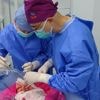 Varkenslong functioneert 9 dagen in menselijk lichaam: grote stap voor orgaantransplantatie, maar risico’s blijven aanzienlijk