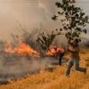Les incendies ont brûlé plus d'un million d'hectares dans les pays de l'Union européenne depuis début 2025, du jamais-vu