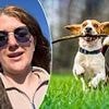 Vet issues urgent warning to dog owners about why you should NEVER play fetch with a stick