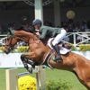 Equitation : un grand bol d’Eire au jumping international de La Baule