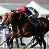 Robin Goodfellow's racing tips: Best bets for Wednesday, June 18
