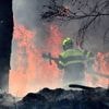 Deux départements du sud de la France placés en vigilance orange aux feux de forêts