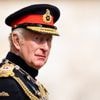Familiedrama Britse royals escaleert: emotionele pleidooi van prins Harry werpt schaduw over ambities van koning Charles