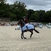 Équitation. CSI 3* au Haras du Pin : Marie Demonte fait coup double lors du Prix Foncia