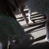 Tanz: Kritiker-Umfrage: Staatsballett Berlin und München glänzen