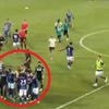 Coup de poing, bagarre générale, altercation entre entraîneurs...Le match entre le Betis et Côme a totalement dégénéré
