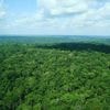 Le pari vert de la Guyane : une énergie 100 % décarbonée d’ici 2027