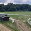 Une édition exceptionnelle du meeting de Vertou pour fêter 130 années de courses hippiques