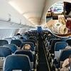 Expert issues warning to UK travellers over little-known food fine