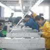 Zölle setzen Firmen unter Druck: Chinas Industrie geht es immer schlechter